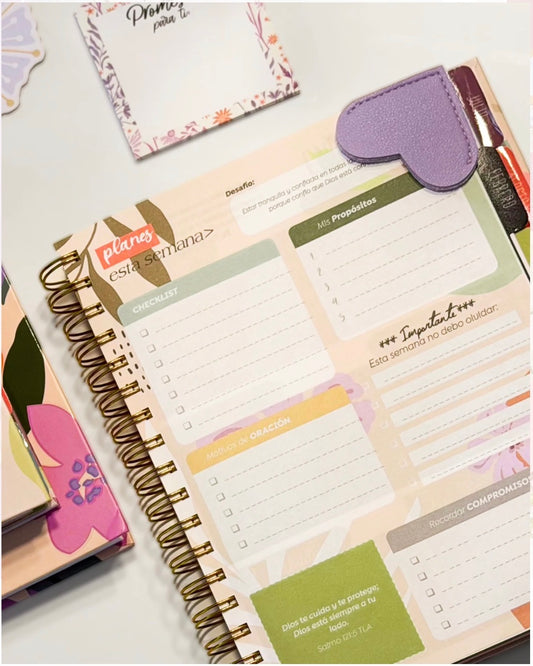 Planner 2027 Rosado