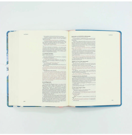 Biblia Ilustra Tu Fe