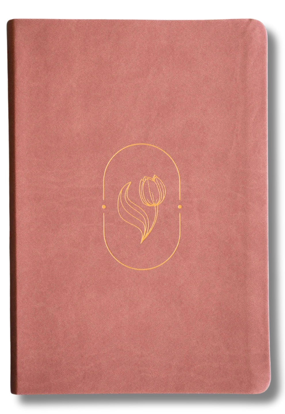 Biblia de Promesas Virtuosa