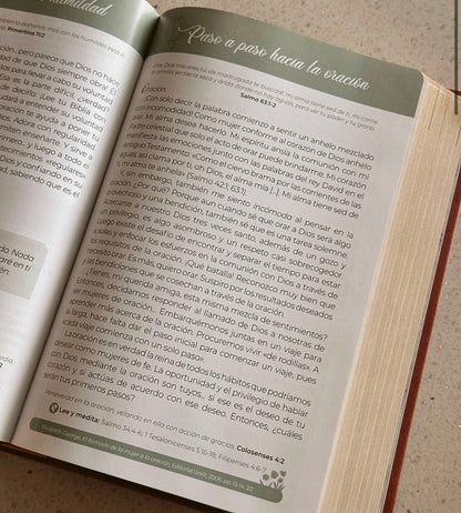 Biblia de Promesas Virtuosa