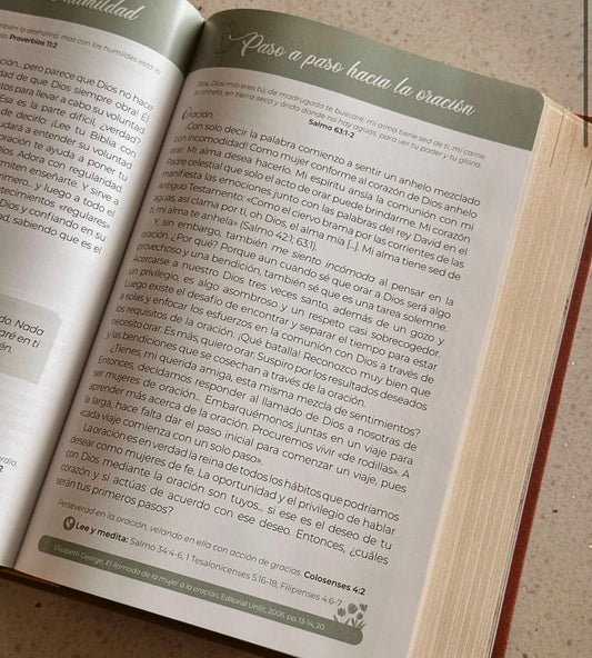 Biblia de Promesas Virtuosa